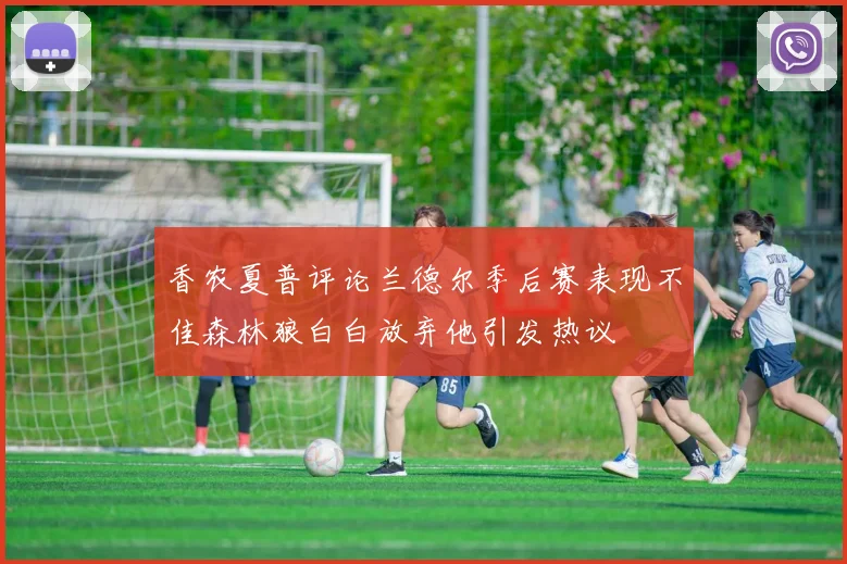 香农夏普评论兰德尔季后赛表现不佳森林狼白白放弃他引发热议